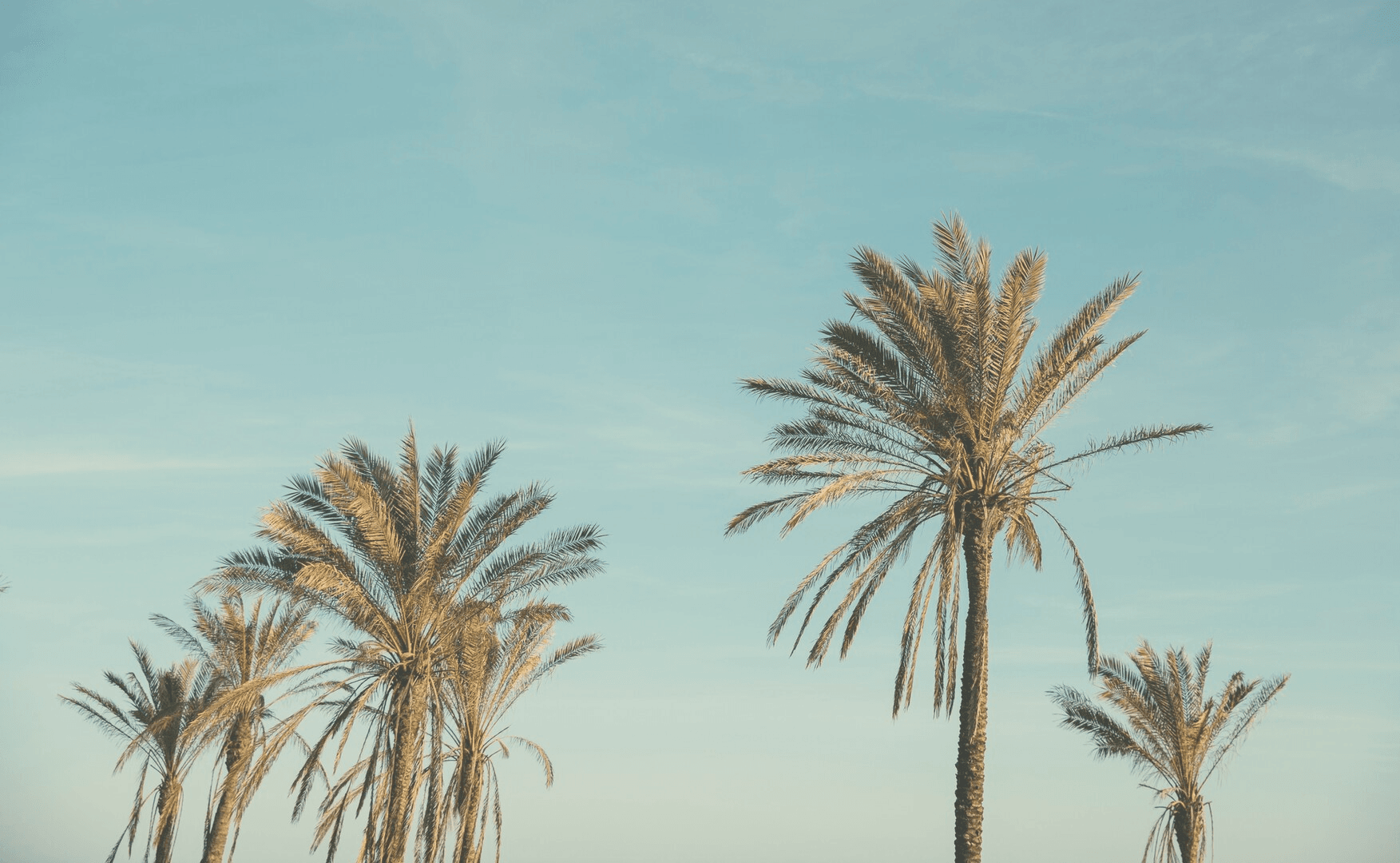 Les différentes solutions apportées par le Coaching