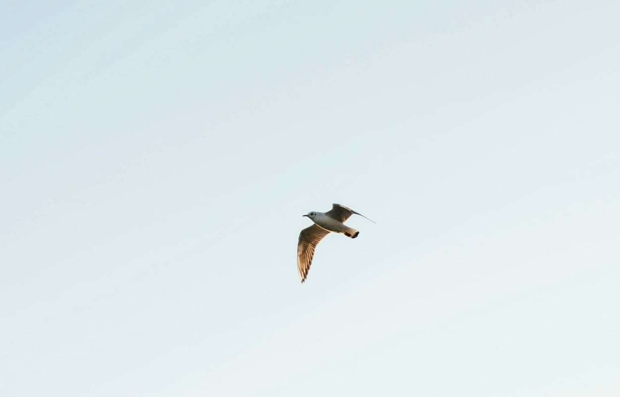 5 routines matinales pour transformer vos journées