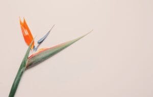 A propos 3 Indépendants à Nantes : Comment briser la solitude?