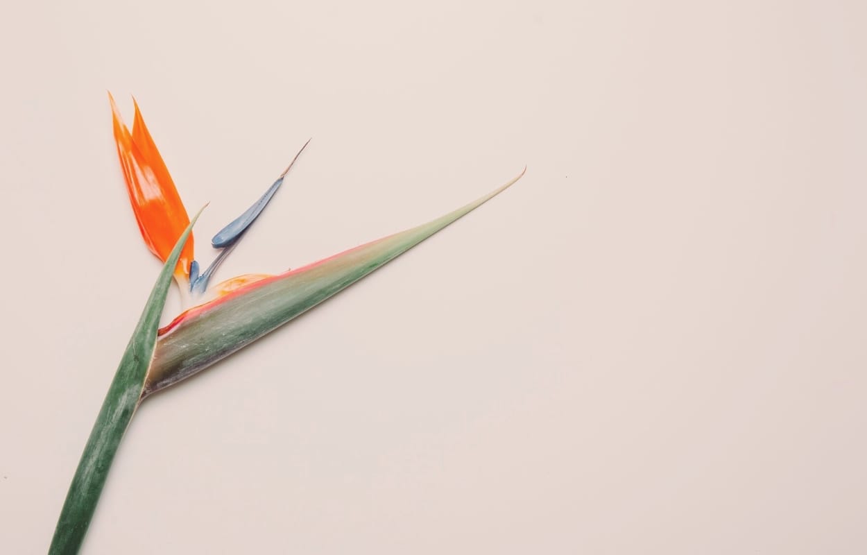 Indépendants à Nantes : Comment briser la solitude?