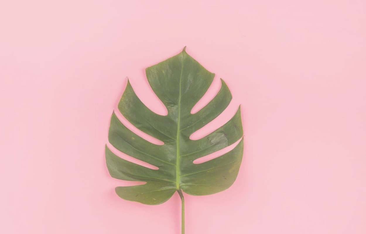 Utiliser ChatGPT pour votre développement personnel