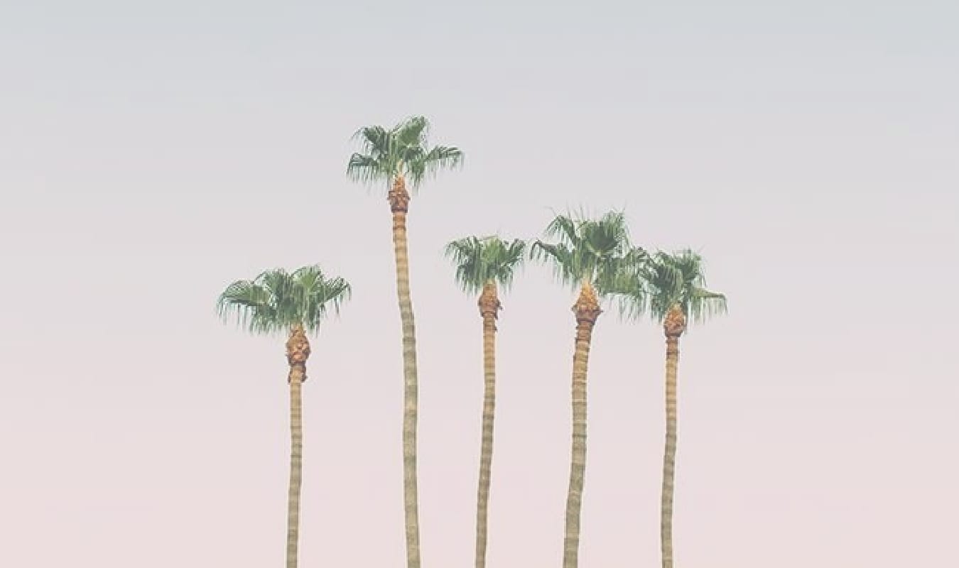 commence avant d etre pret