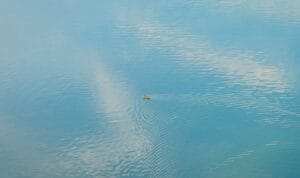 A propos 5 reussir ralentir