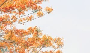 A propos 4 changer de metier – 1